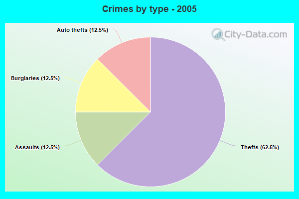 Crimes by type - 2005