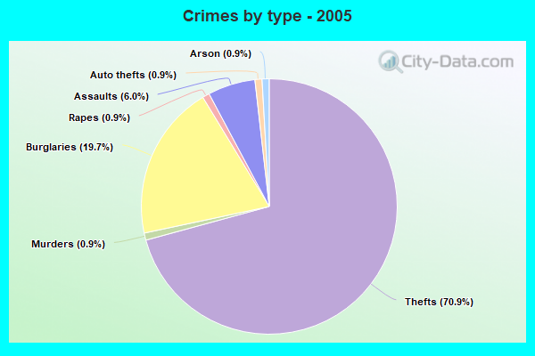 Crimes by type - 2005