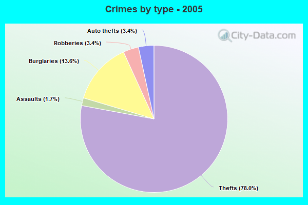 Crimes by type - 2005