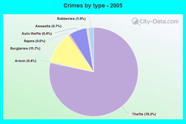 Crimes by type - 2005