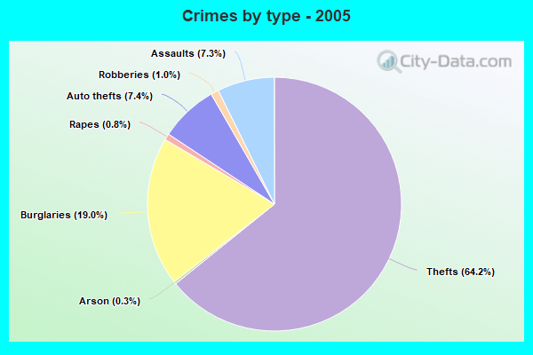 Crimes by type - 2005