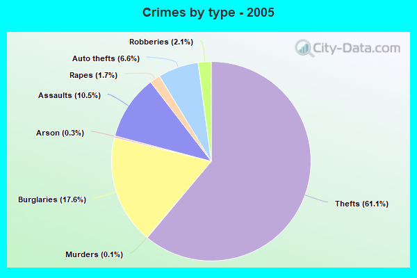 Crimes by type - 2005