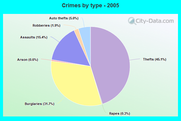 Crimes by type - 2005