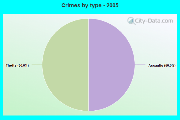 Crimes by type - 2005