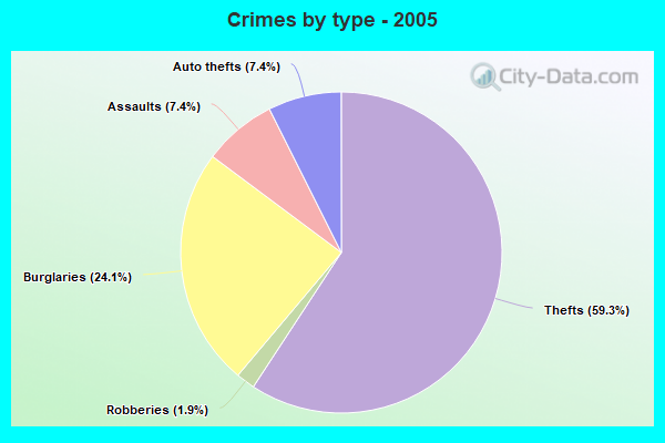 Crimes by type - 2005