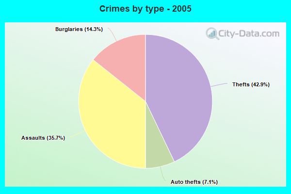 Crimes by type - 2005