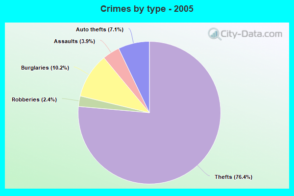 Crimes by type - 2005