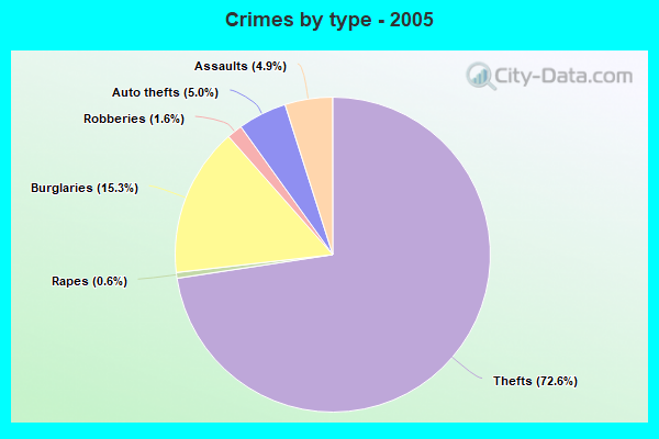 Crimes by type - 2005