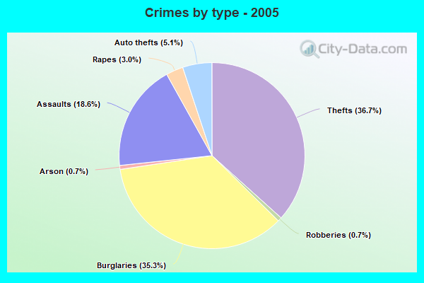 Crimes by type - 2005