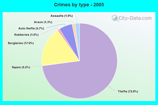 Crimes by type - 2005