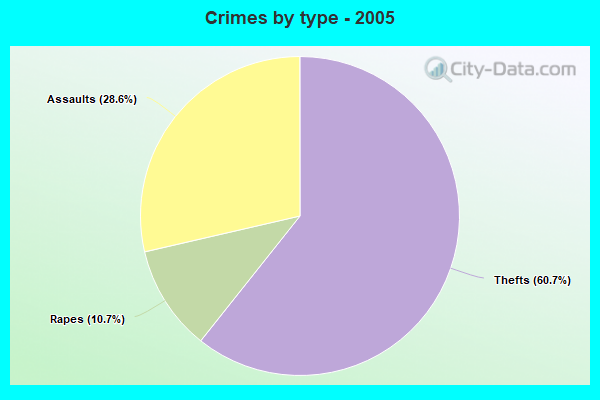 Crimes by type - 2005