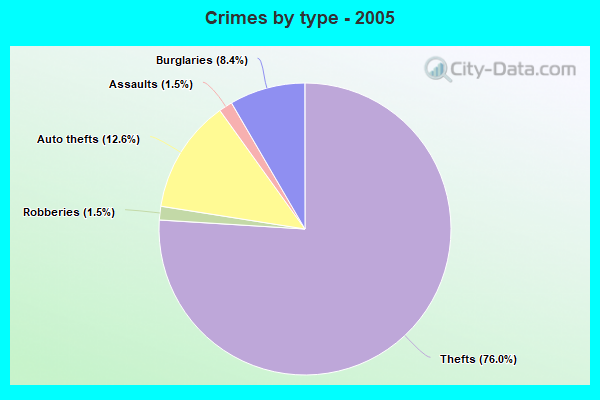 Crimes by type - 2005