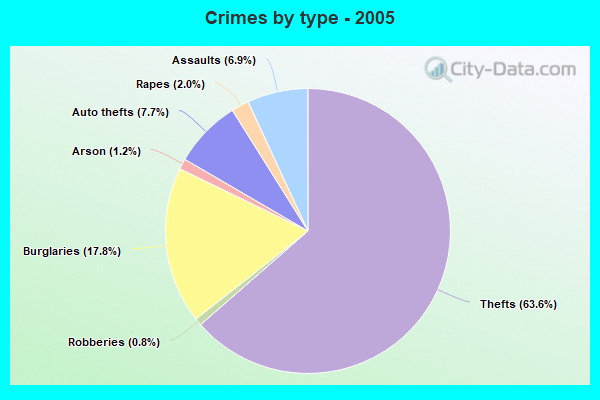 Crimes by type - 2005