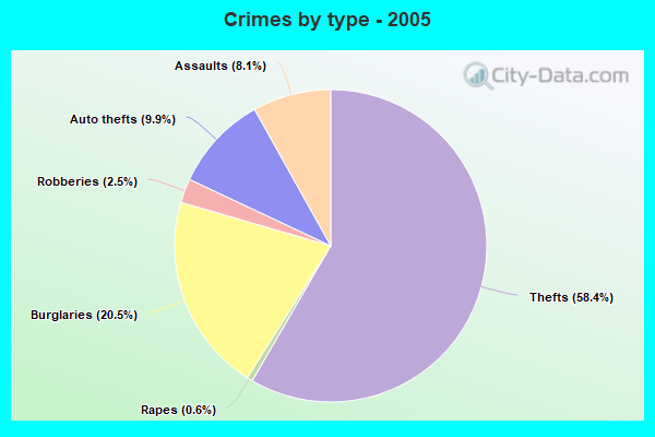 Crimes by type - 2005