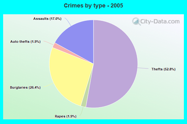 Crimes by type - 2005