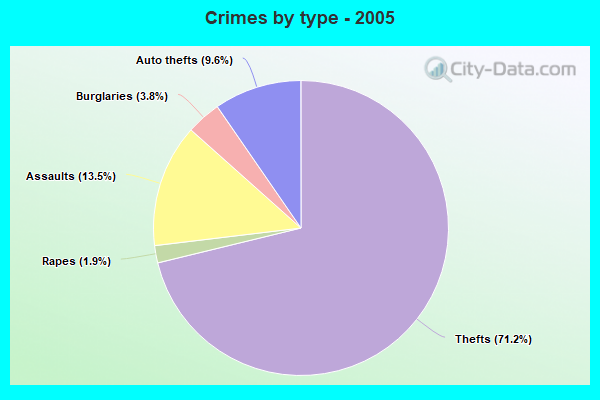 Crimes by type - 2005