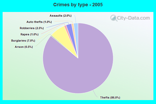 Crimes by type - 2005