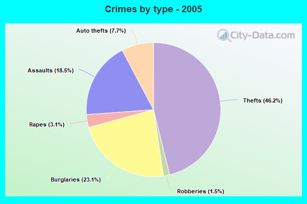 Crimes by type - 2005