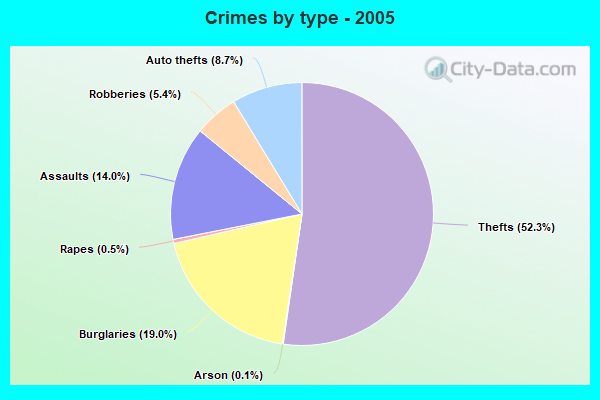 Crimes by type - 2005