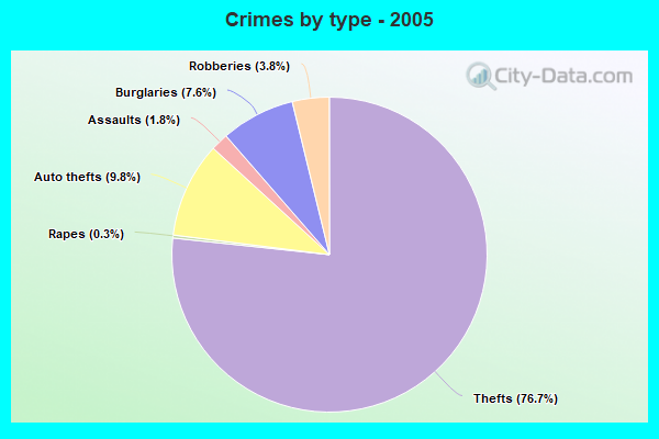 Crimes by type - 2005