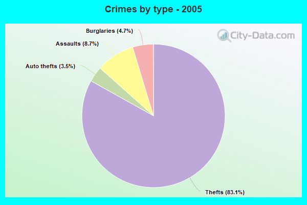 Crimes by type - 2005