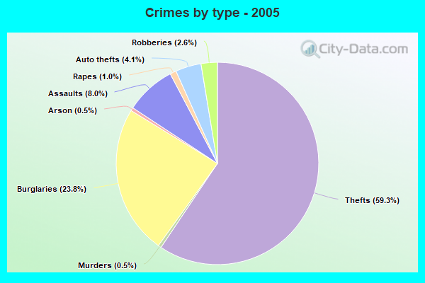 Crimes by type - 2005