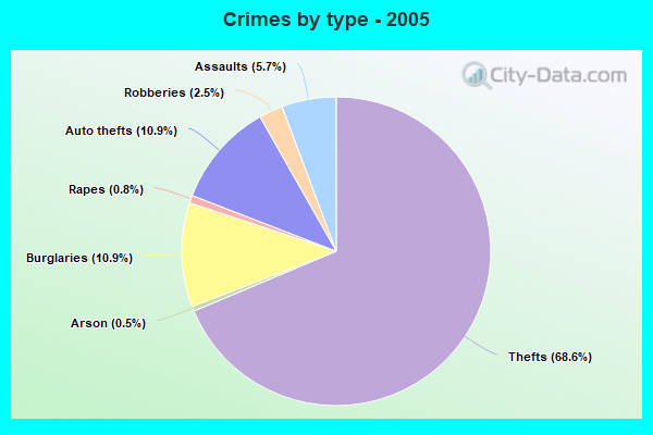 Crimes by type - 2005