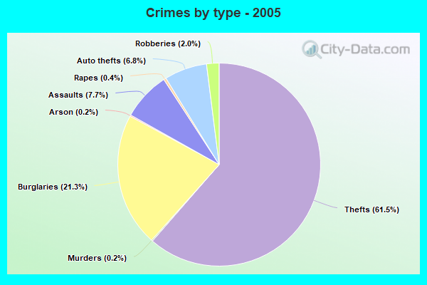 Crimes by type - 2005