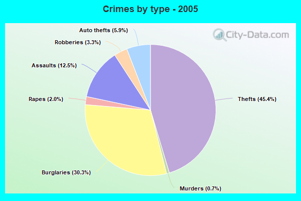 Crimes by type - 2005