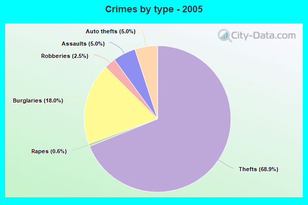 Crimes by type - 2005