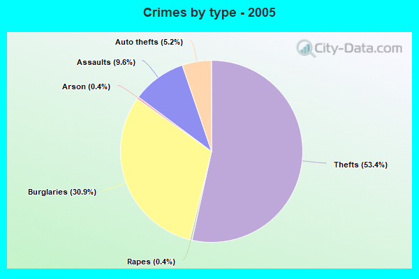 Crimes by type - 2005