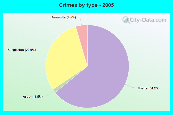 Crimes by type - 2005