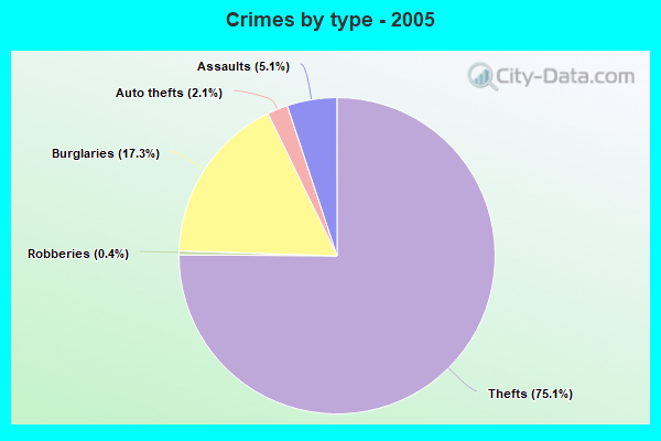 Crimes by type - 2005