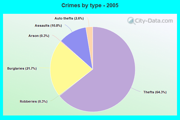 Crimes by type - 2005