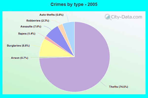 Crimes by type - 2005