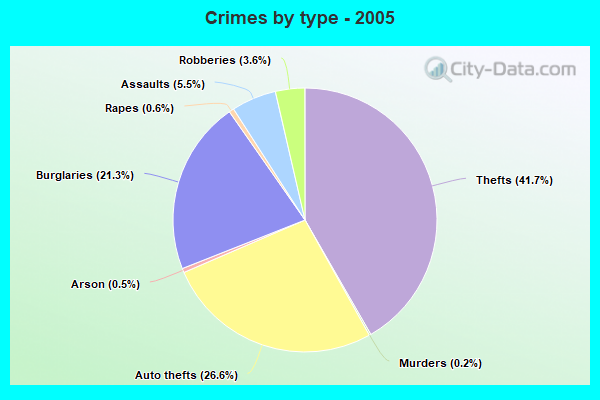 Crimes by type - 2005