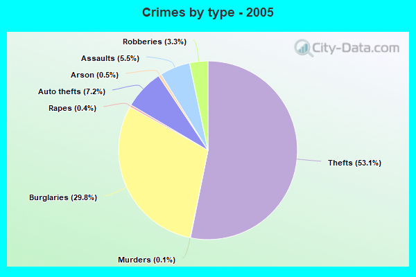 Crimes by type - 2005