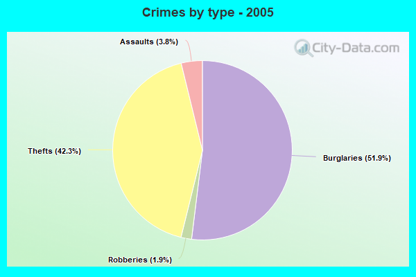 Crimes by type - 2005