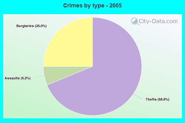 Crimes by type - 2005