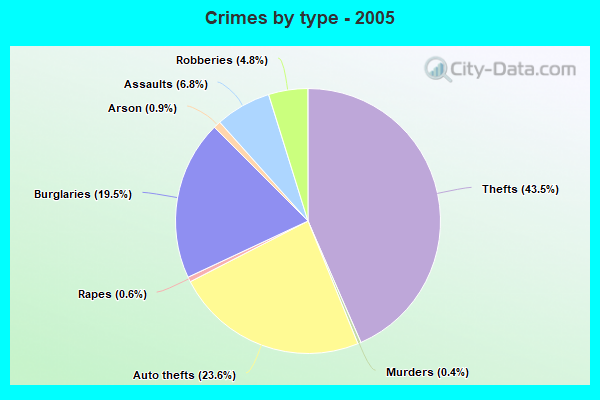 Crimes by type - 2005