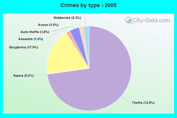 Crimes by type - 2005