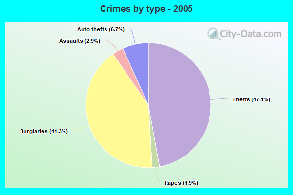 Crimes by type - 2005