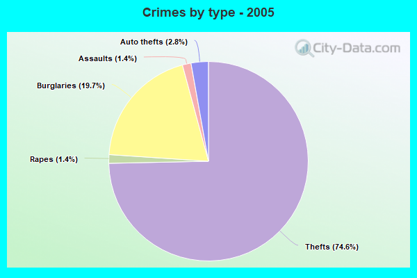 Crimes by type - 2005