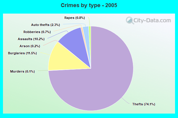 Crimes by type - 2005