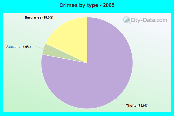 Crimes by type - 2005