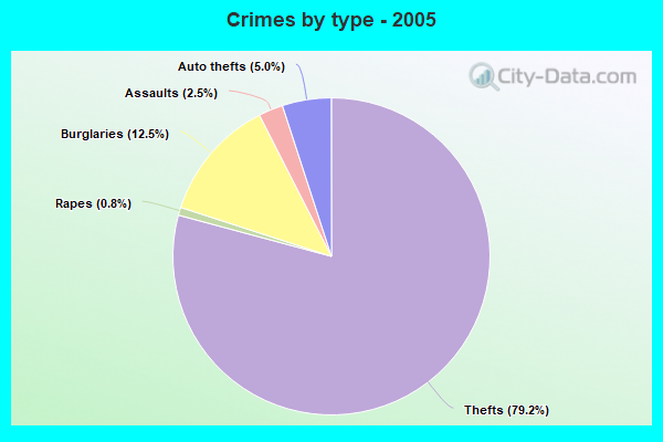 Crimes by type - 2005