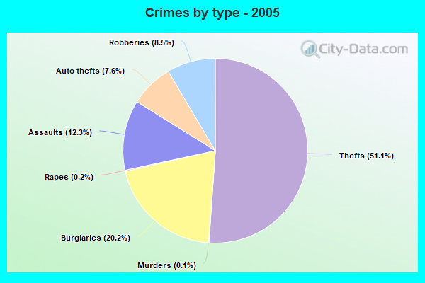 Crimes by type - 2005