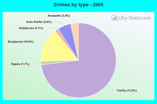 Crimes by type - 2005