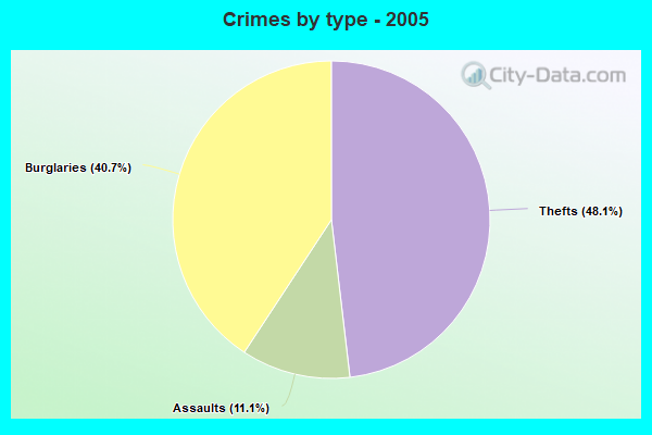 Crimes by type - 2005