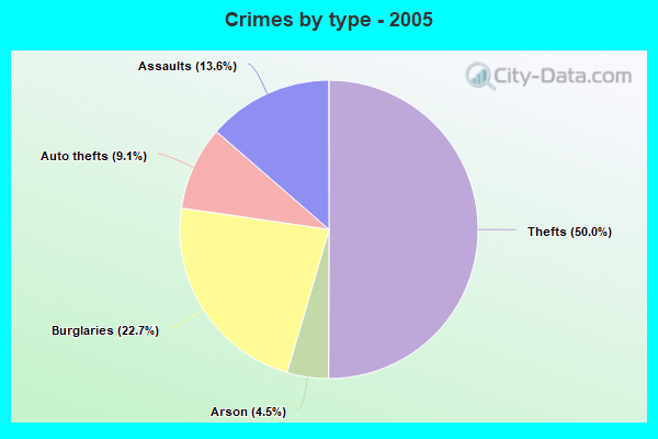 Crimes by type - 2005